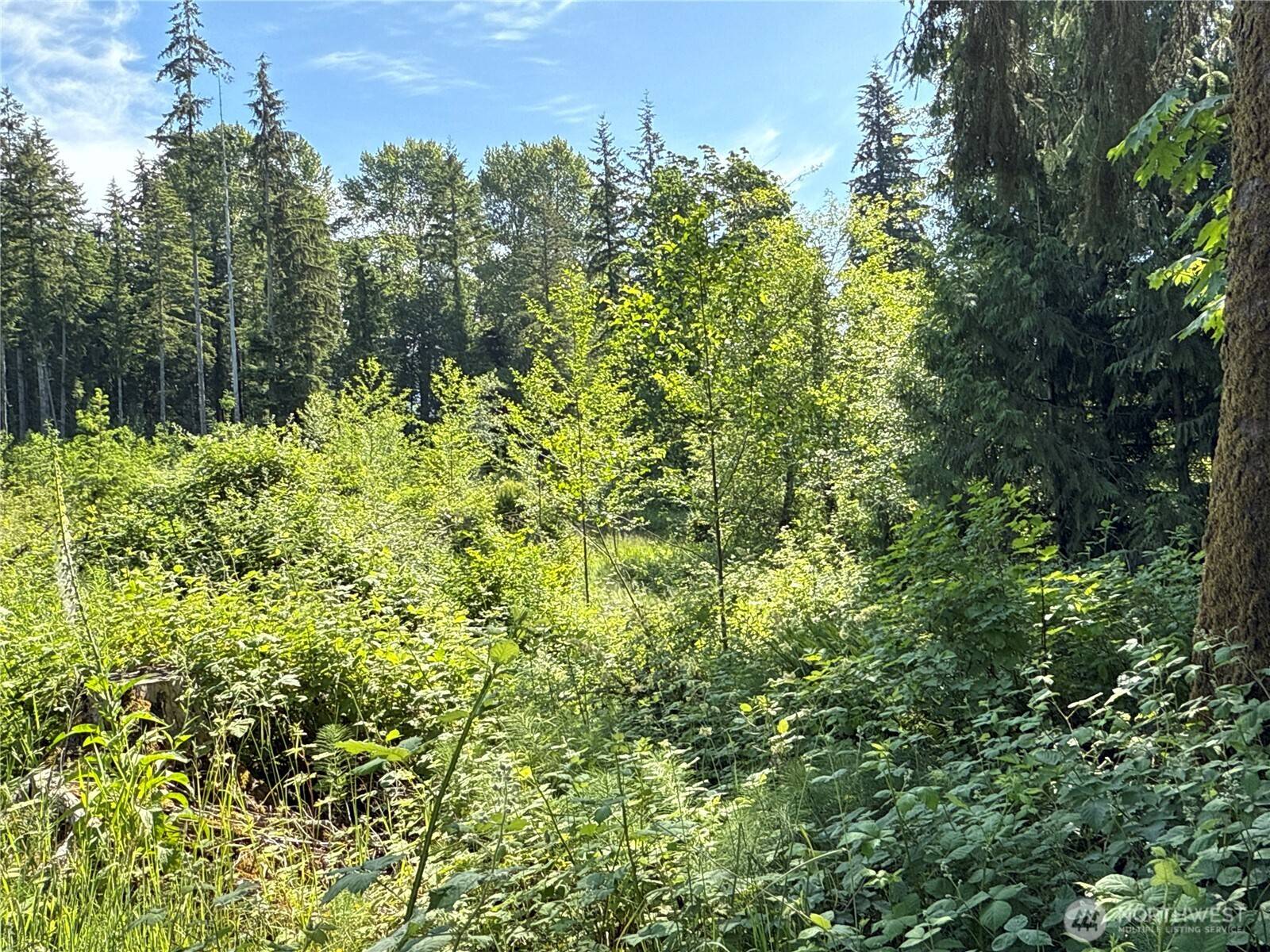 17 XXX Jim Creek RD, Arlington, WA 98223