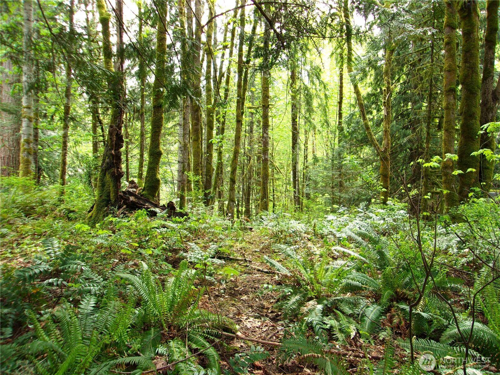 0 River RD, Brinnon, WA 98320