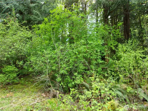 Brinnon, WA 98320,0 River RD