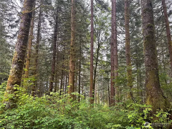 Amboy, WA 98601,43903 NE Columbia Tie RD