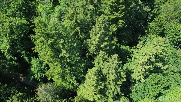 3068 NHN Ash WAY, Sedro Woolley, WA 98284