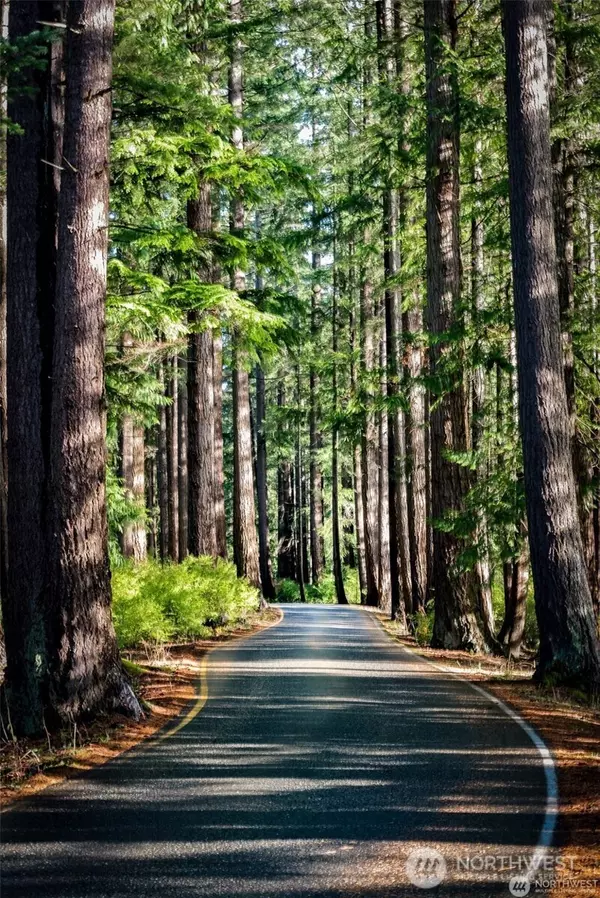 Bellingham, WA 98229,1 Southern CT