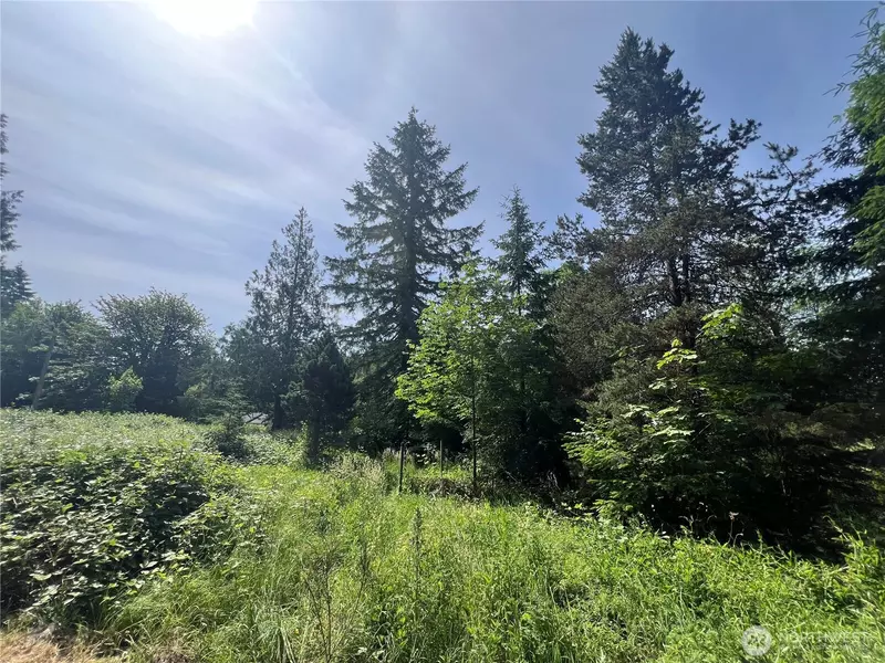 1515 W Franklin ST, Shelton, WA 98584