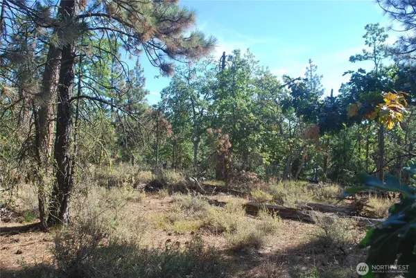 Goldendale, WA 98620,0 Hidden Meadows