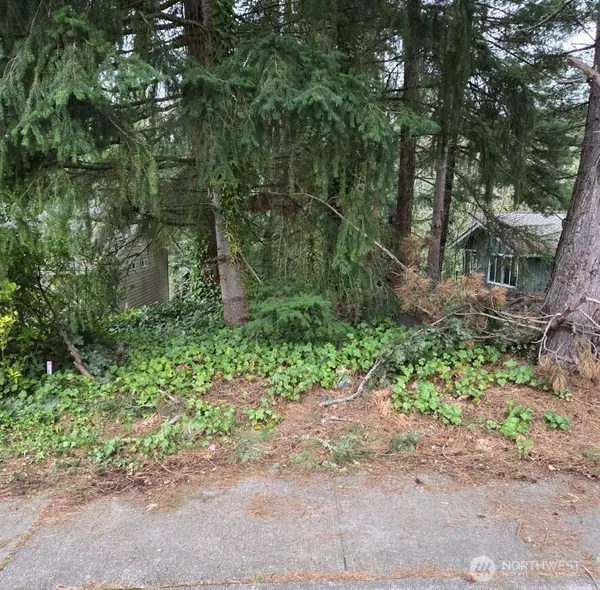 4684 152nd PL SE, Bellevue, WA 98006