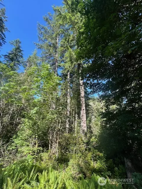 Belfair, WA 98528,0 NE Tahuya Blacksmith RD
