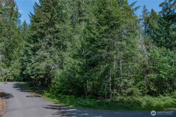 Hoodsport, WA 98548,21 N Wigeon PL S