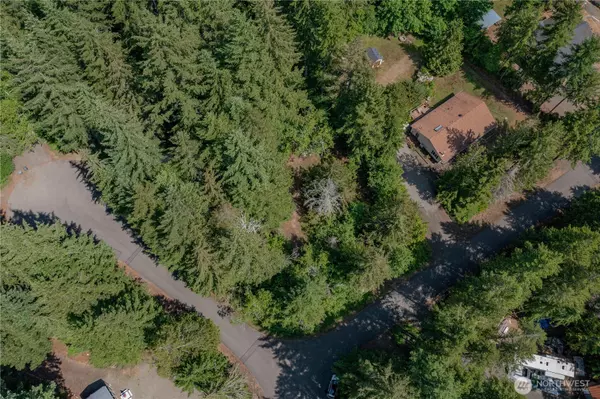 Hoodsport, WA 98548,21 N Wigeon PL S