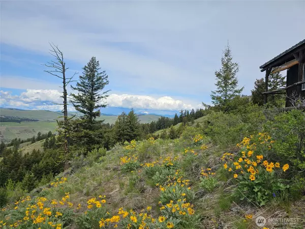 Oroville, WA 98844,34 Buckhorn RD