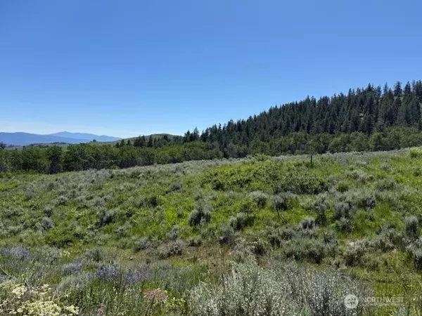 Oroville, WA 98844,111 TBD ELLEMEHAM RIDGE RD