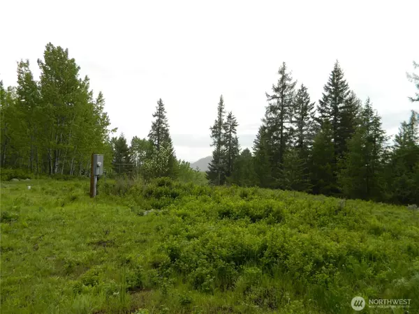 Tonasket, WA 98855,0 TBD Tobys Mill RD