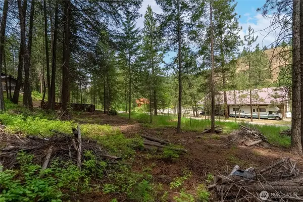 Twisp, WA 98856,7 Howerton RD