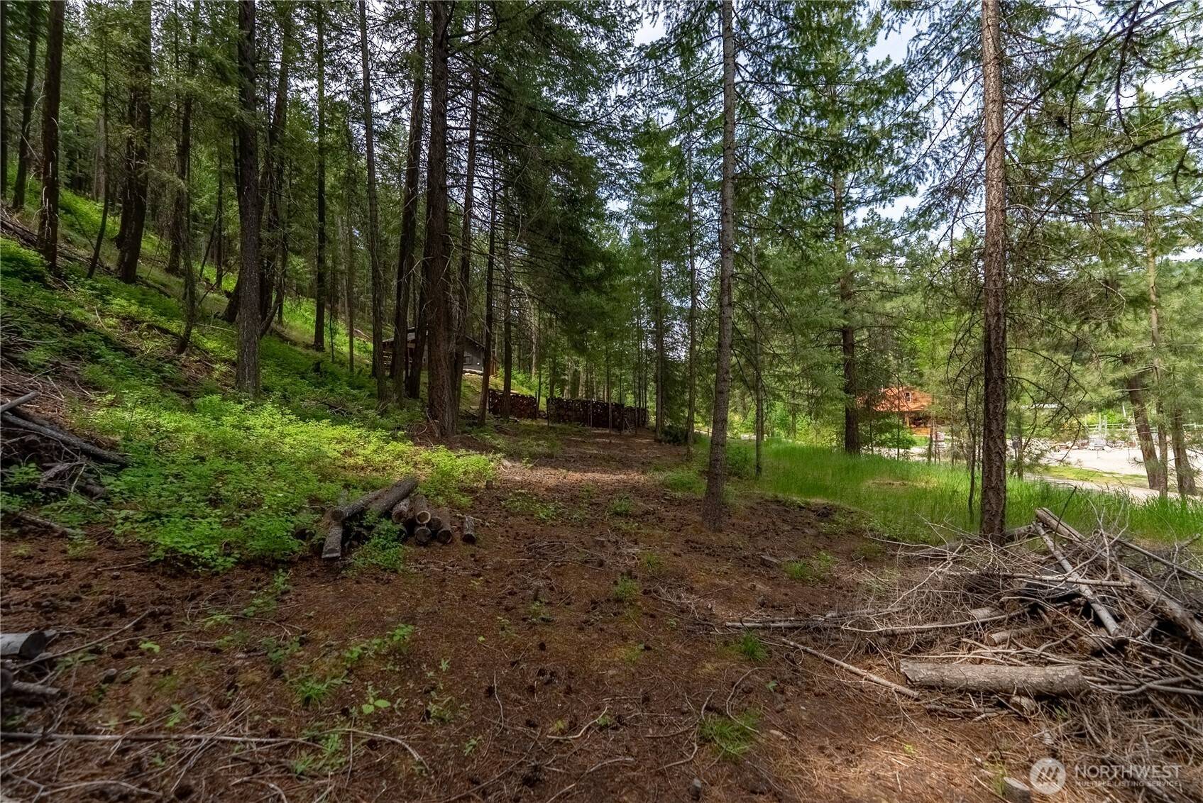 7 Howerton RD, Twisp, WA 98856