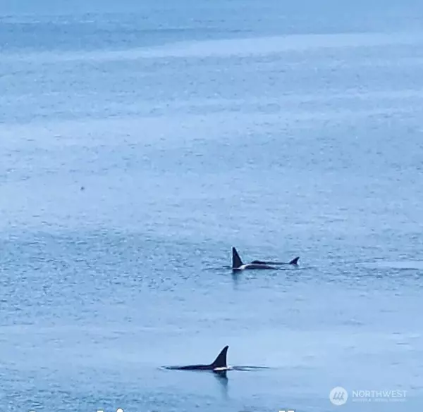 Olympia, WA 98502,6600 Klein ST NW