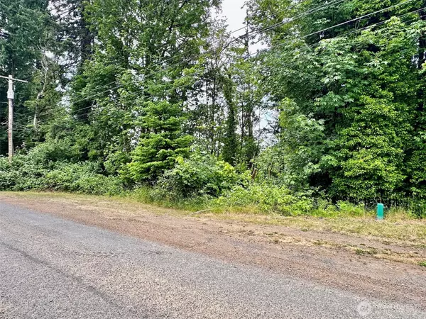 Winlock, WA 98596,0 XX NE 2nd ST