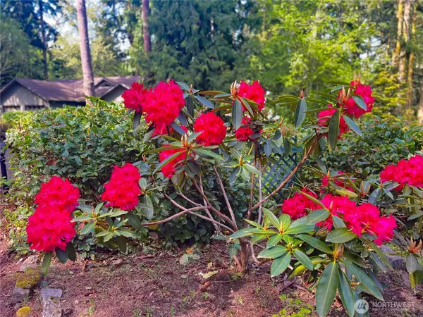 Port Townsend, WA 98368,0 Buckhorn PL