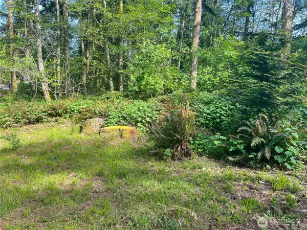 Port Townsend, WA 98368,0 Buckhorn PL