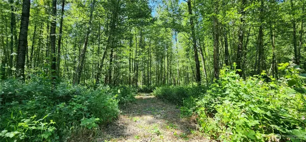 Randle, WA 98377,1230 Silverbrook RD