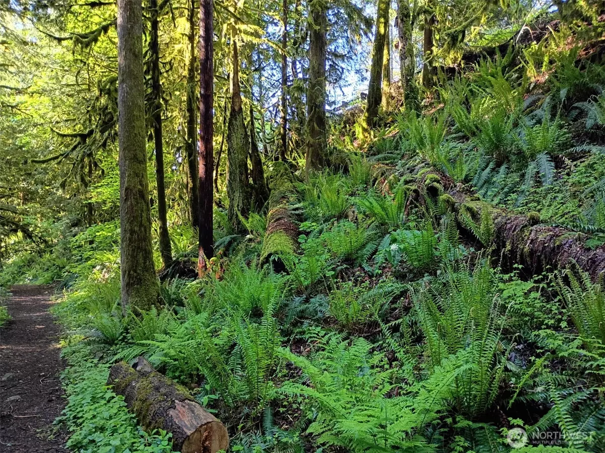 Maple Falls, WA 98266,Address not disclosed