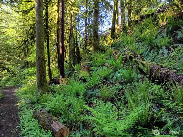 Maple Falls, WA 98266