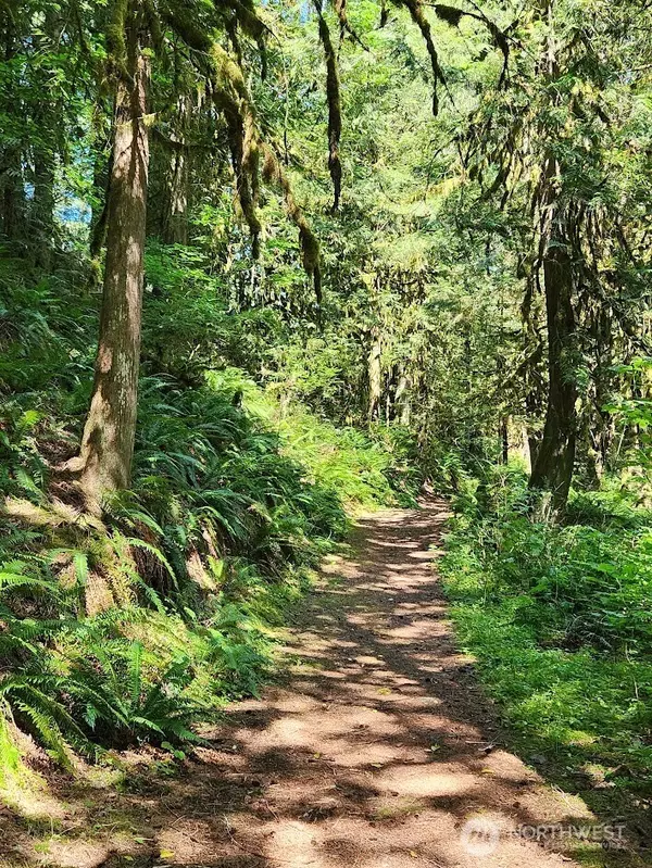 Maple Falls, WA 98266,Address not disclosed