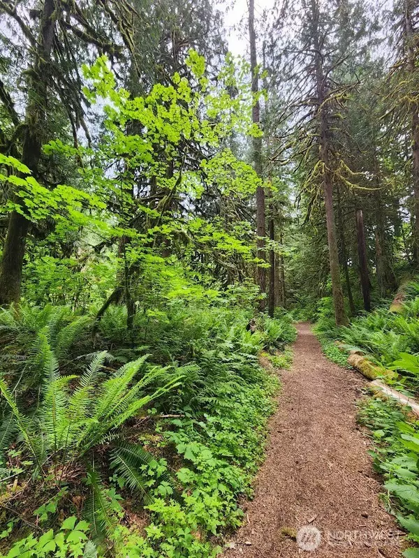 Maple Falls, WA 98266,Address not disclosed