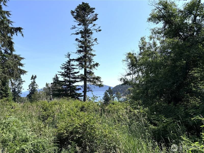 0 Davis Beach RD, Decatur Island, WA 98221