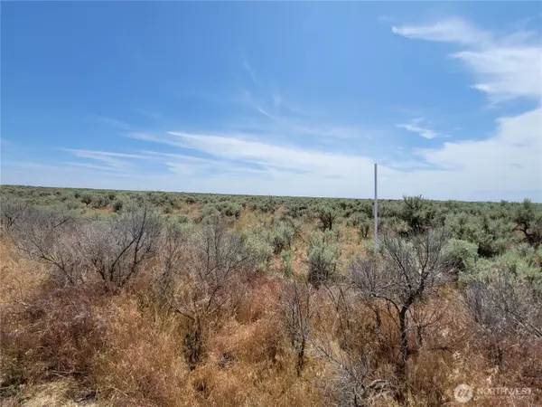 Wilson Creek, WA 98860,0 Lot 116 Eagle Springs Ranch