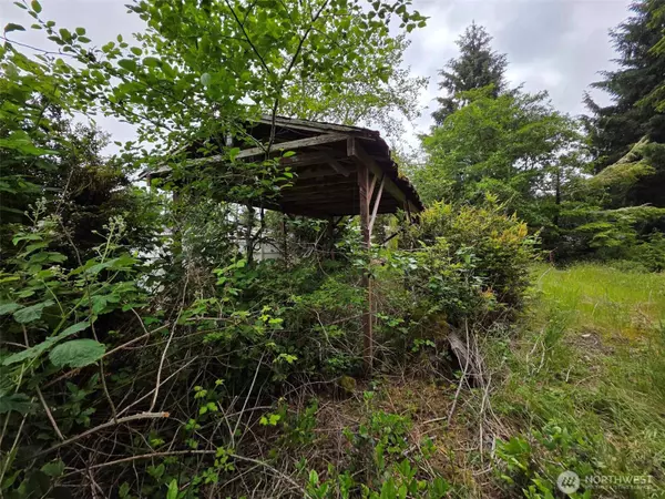 Ocean Park, WA 98640,27312 W ST