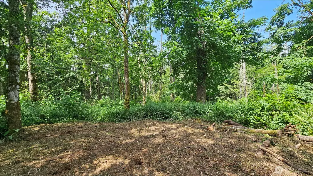 0 xxxa Dove DR, Camano Island, WA 98282