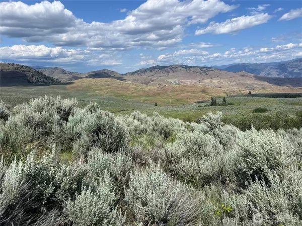Oroville, WA 98844,0 TBD Ellemeham Min X RD