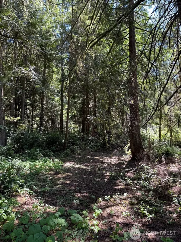 Anderson Island, WA 98303,12408 93rd ST