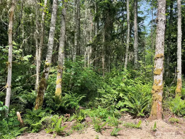 Port Townsend, WA 98368,176 Lot 2 Louisa ST