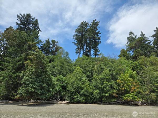 14528 45th ST SW, Lakebay, WA 98349