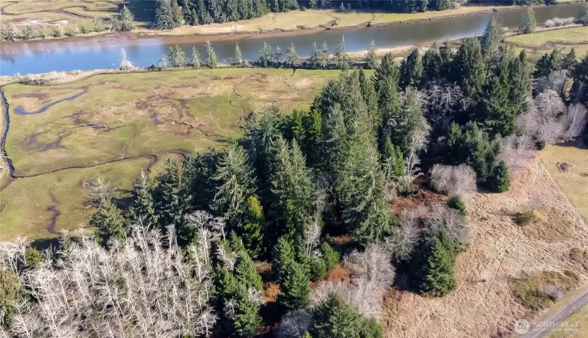 South Bend, WA 98596,0 XXX Palix LN