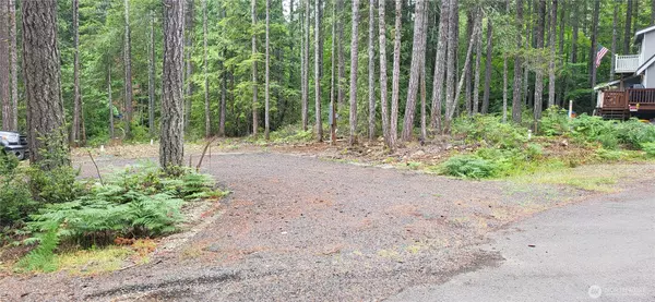 Hoodsport, WA 98548,0 N Mt Jupiter DR