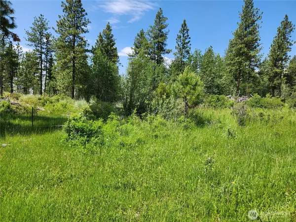 Tonasket, WA 98859,999 Roundabout RD