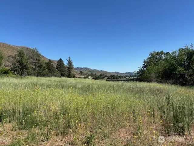 0 Perry Street Ct, Winthrop, WA 98862