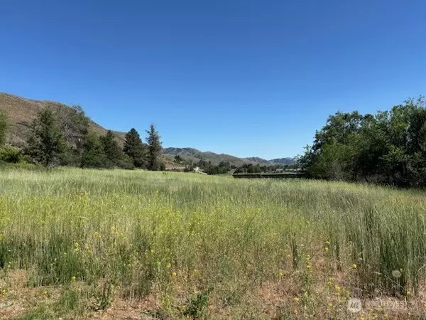Winthrop, WA 98862,0 Perry Street Ct