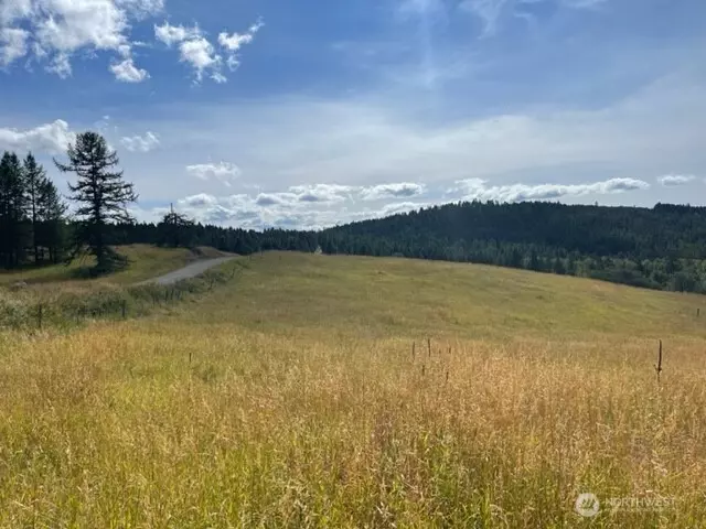 Oroville, WA 98844,111 TBD Davies RD