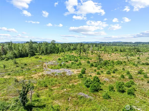 Toledo, WA 98591,0 Sareault RD