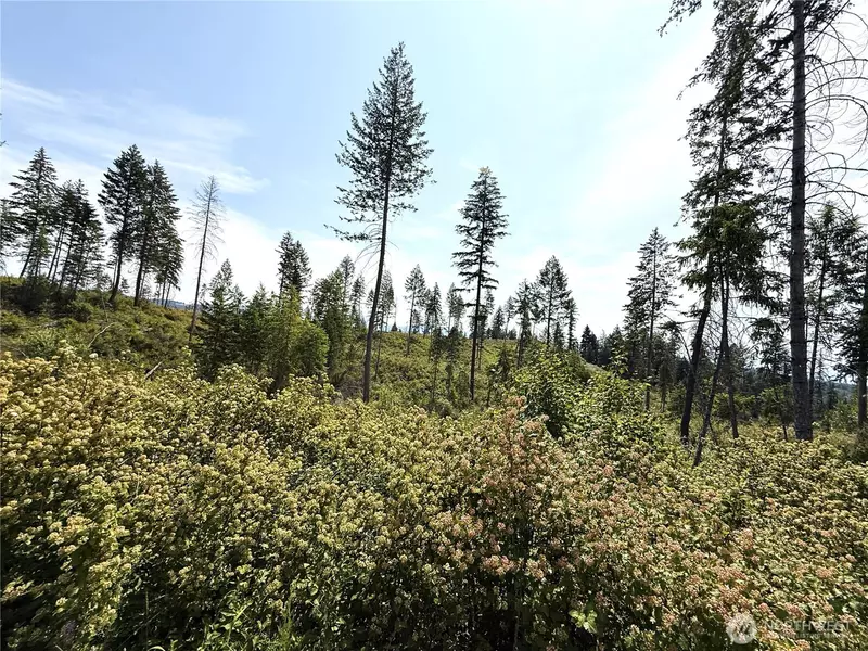 0 Lot 1 Rockabye LN, Curlew, WA 99118