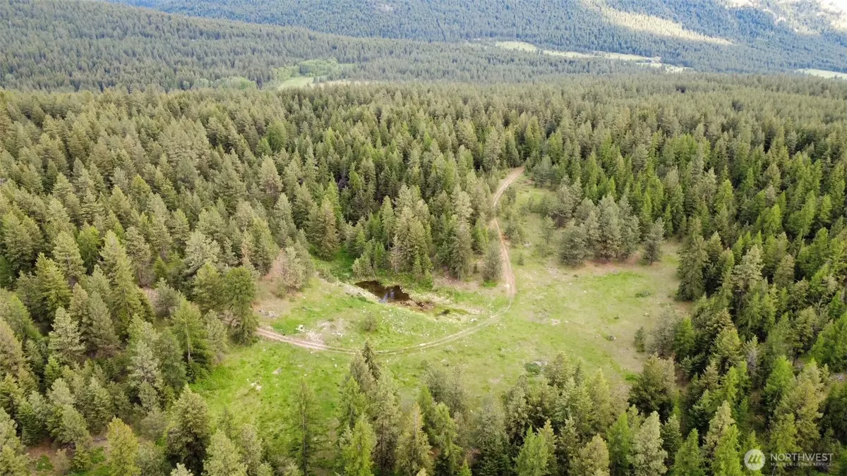 Tonasket, WA 98855,0 TBD Blue Meadow Rd