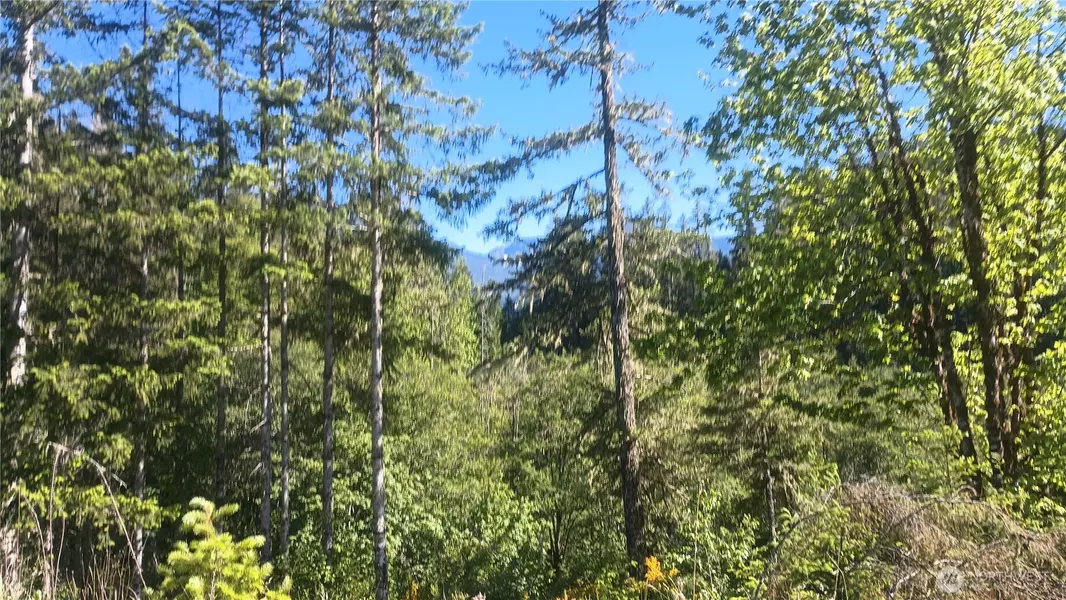 735 Carr RD, Randle, WA 98377