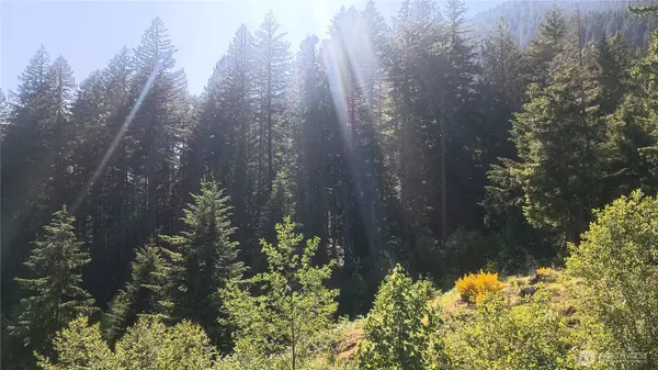 Randle, WA 98377,735 Carr RD