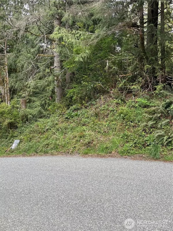 Lake Cavanaugh, WA 98274,0 Lot 15 W Shore DR