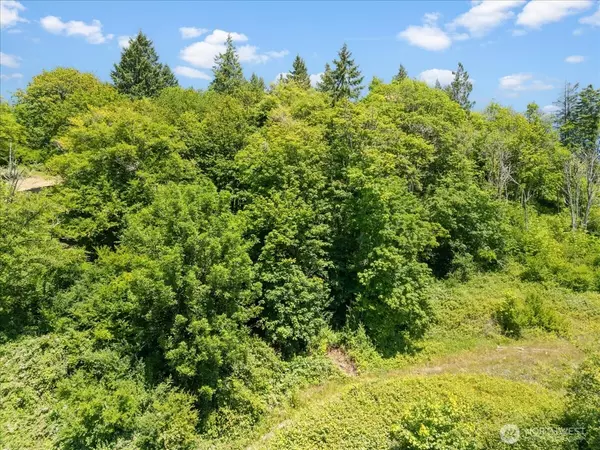 Longview, WA 98632,0 Bergly LN