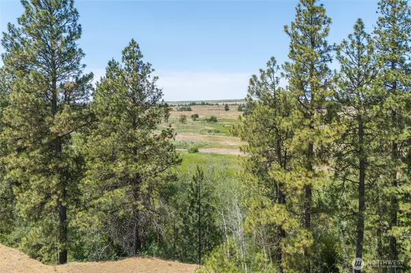 Cheney, WA 99004,36000 S Bootstrap Ln #Lot C