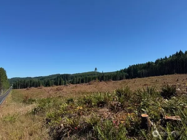 Winlock, WA 98596,0 Nelson RD