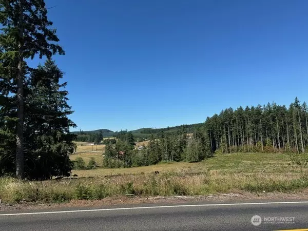 Winlock, WA 98596,0 LOT 5 Nelson RD